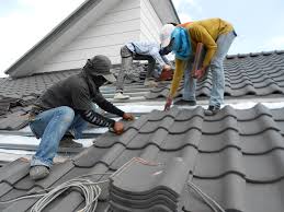 Best Asphalt Shingle Roofing  in Braska City, NE